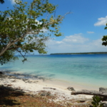 Coconut Drive Lapita Beach