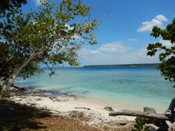 Coconut Drive Lapita Beach