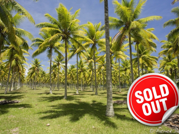 Land For Sale Aore Island, Vanuatu
