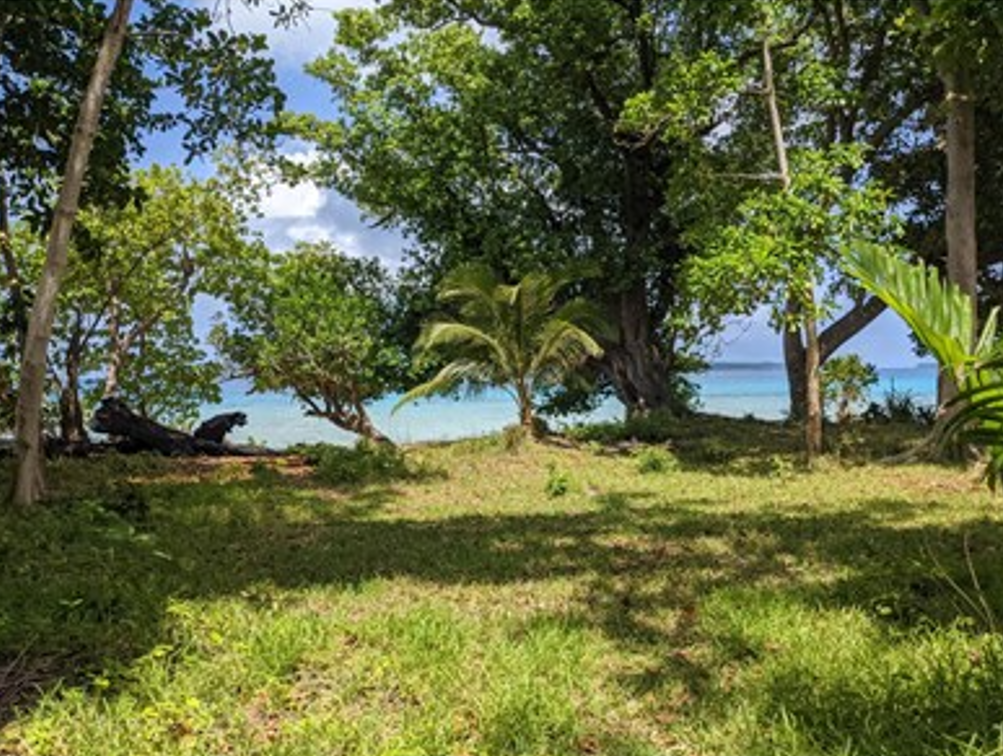 land for sale vanuatu santo