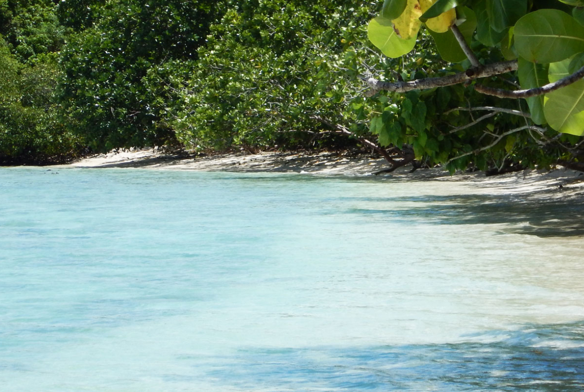 Beach Front Land For Sale Aore Island Vanuatu Northern Vanuatu Real