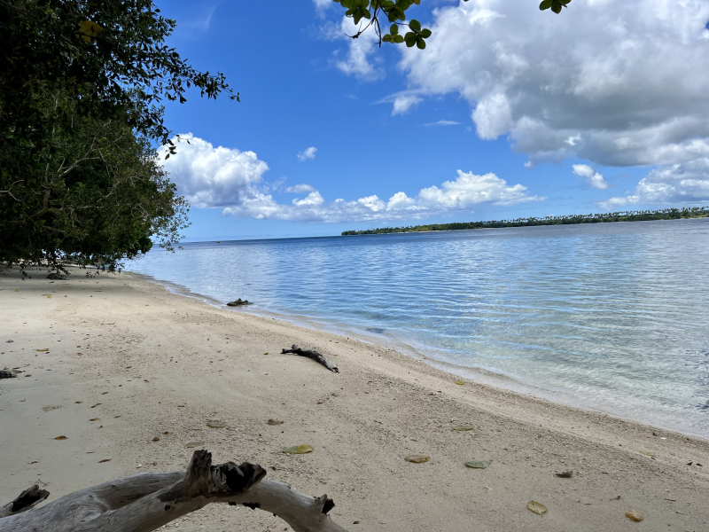 Beachfront Land For Sale Vanuatu Buy Vanuatu Real Estate