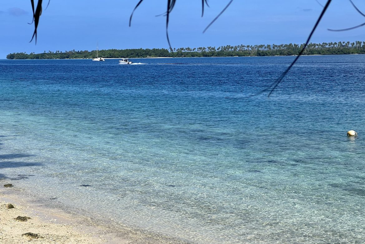 Waterfront Properties for Sale
