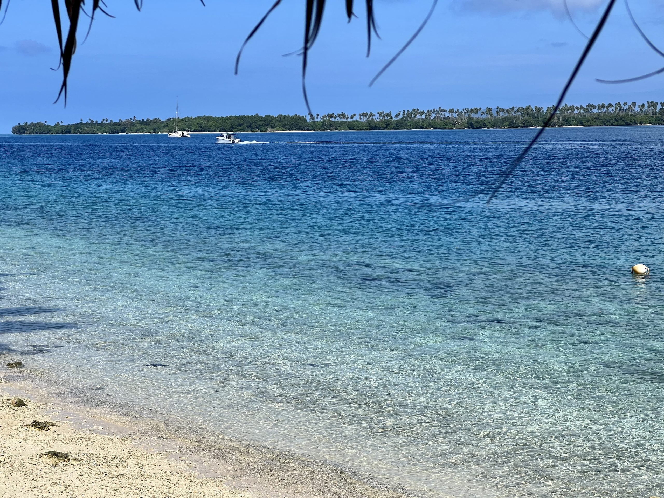 Waterfront Properties for Sale