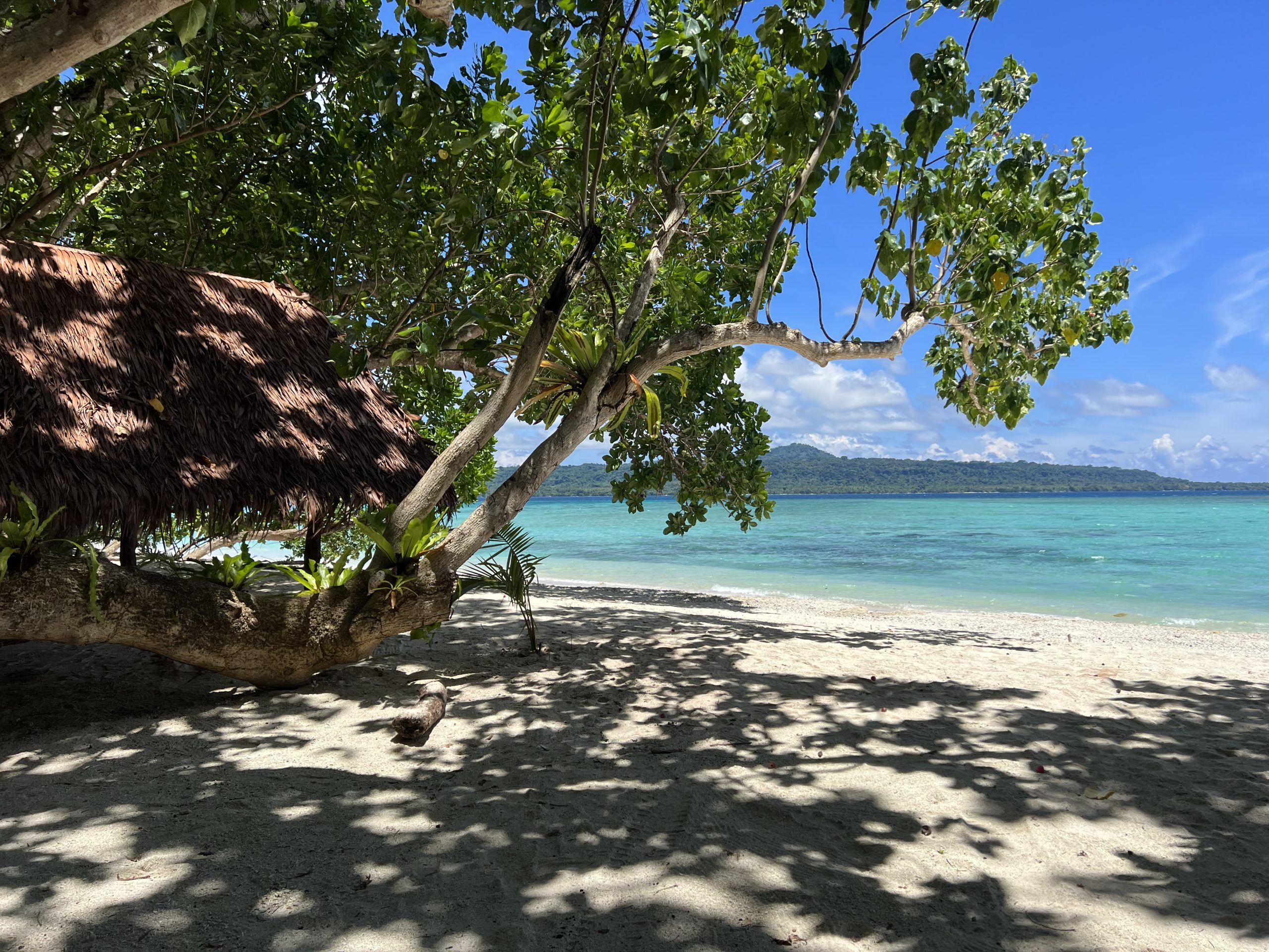Aore Island